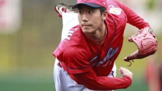 待望☆】 NPB 広島カープ 末永真史 元広島カープ外野手 公式バット